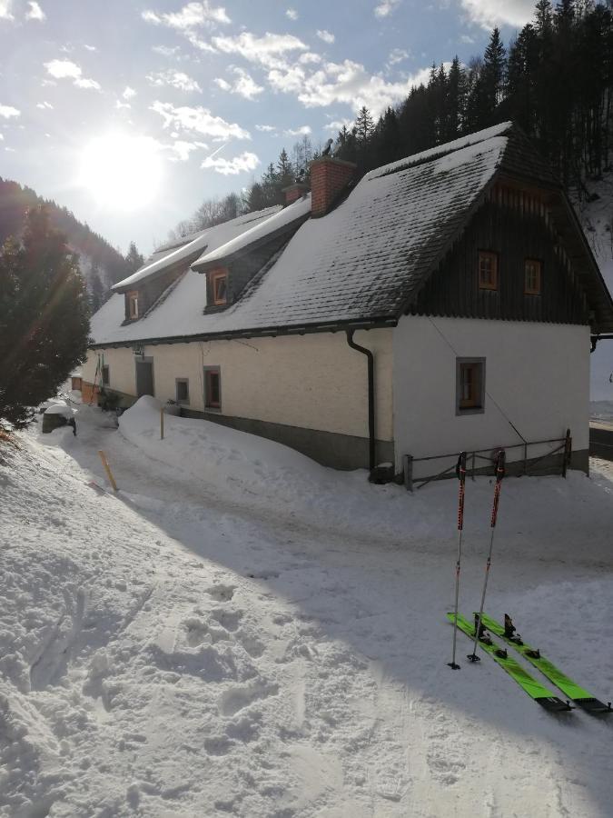 Хостел Zickerreith Almhutte Rosenau am Hengstpass Экстерьер фото